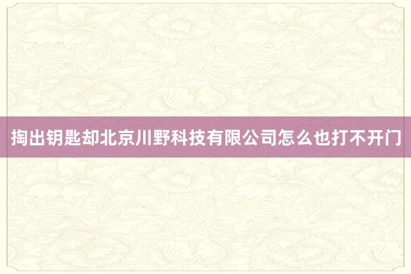 掏出钥匙却北京川野科技有限公司怎么也打不开门