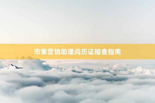 市集营销助理阅历证稽查指南